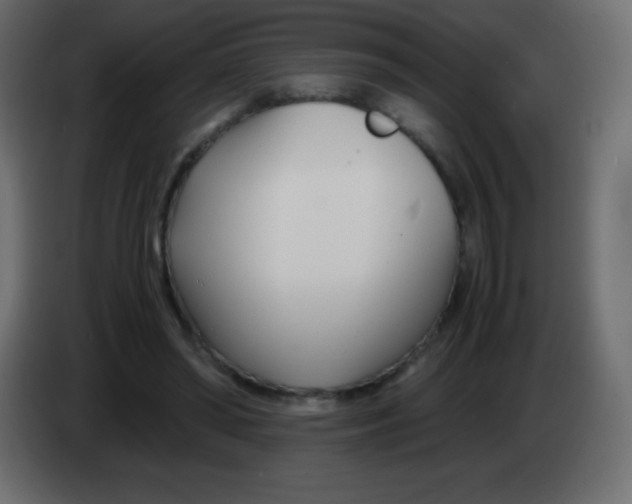 X0000083060398200703022138