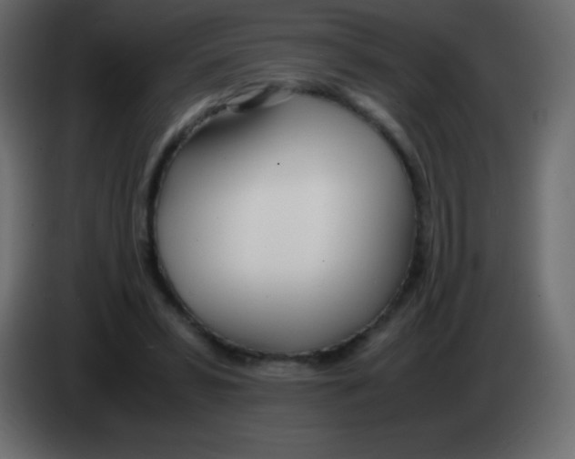 X0000083060399200703022138