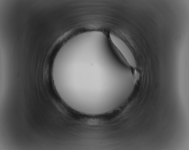 X0000083060400200703022138