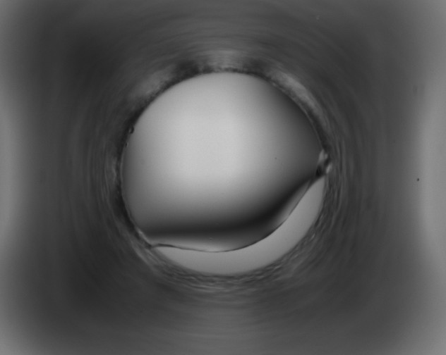 X0000083060401200703022138