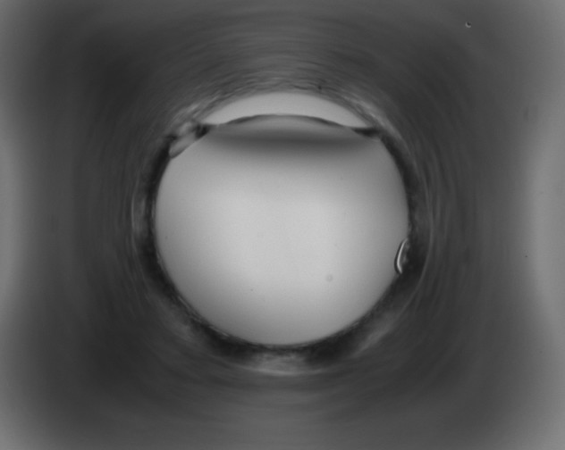 X0000083060403200703022138