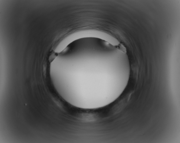 X0000083060404200703022138