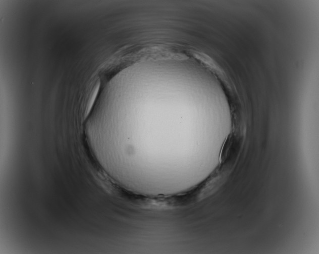 X0000083060405200703022138