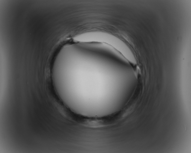 X0000083060407200703022138