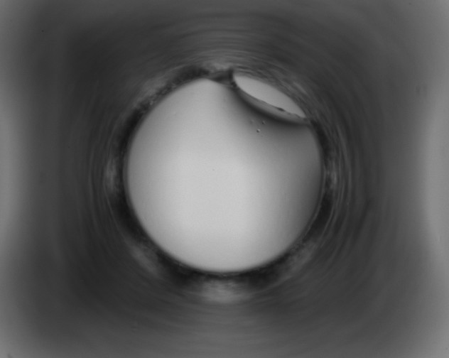 X0000083060408200703022138