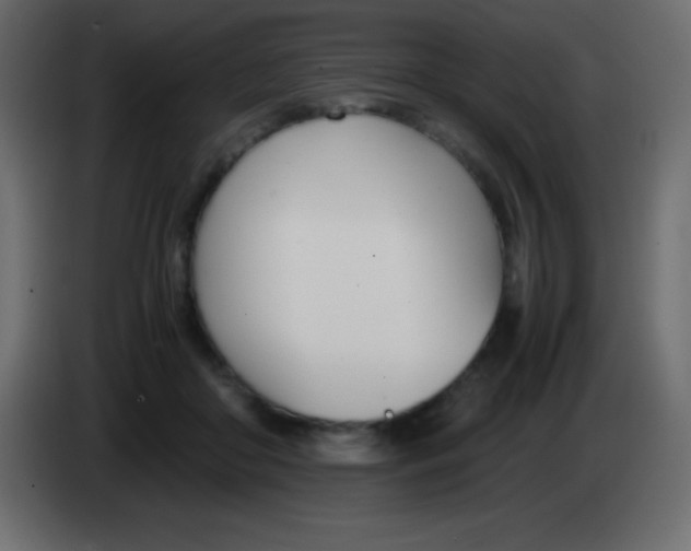 X0000083060410200703022138