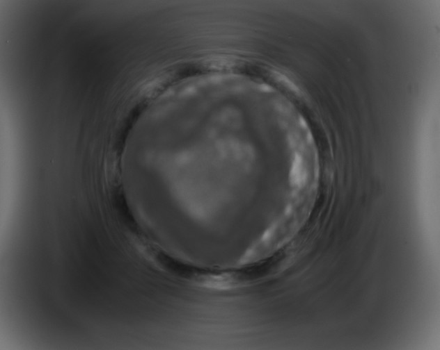 X0000083060411200703022138