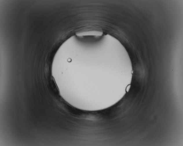 X0000083060412200703022138