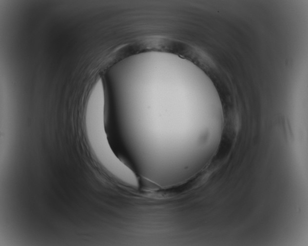 X0000083060413200703022138