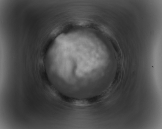 X0000083060415200703022138