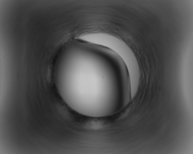 X0000083060416200703022138