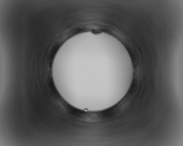 X0000083060418200703022138