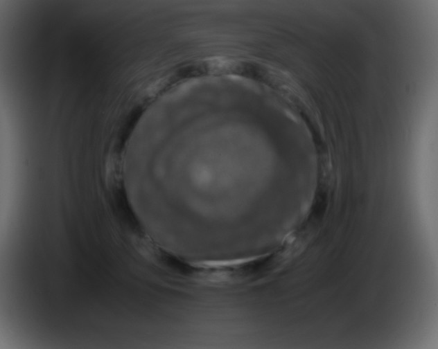 X0000083060419200703022138