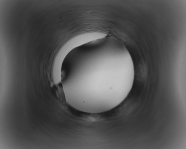 X0000083060420200703022138