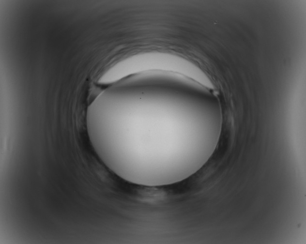 X0000083060421200703022138