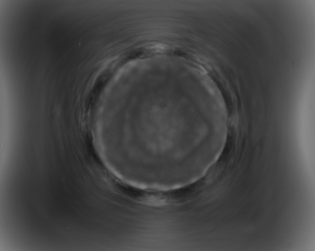 X0000083060423200703022138