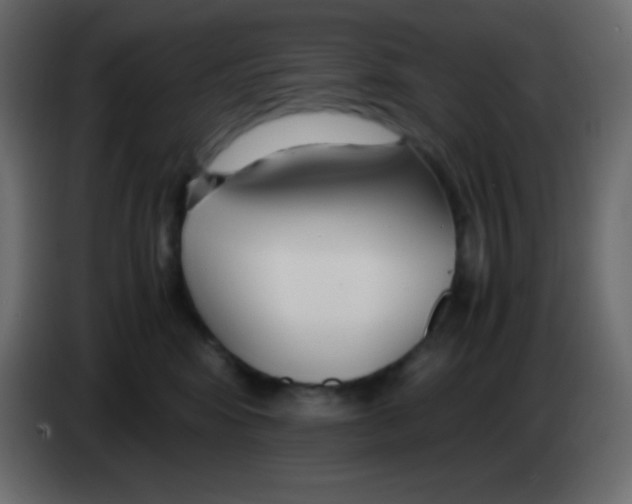 X0000083060424200703022138