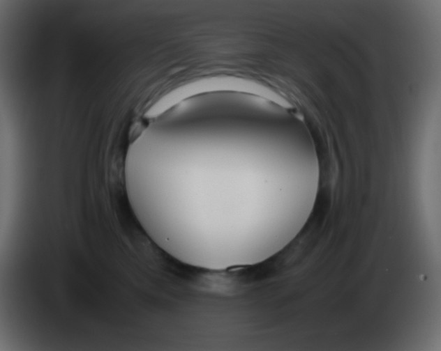 X0000083060425200703022138