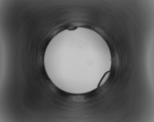 X0000083060426200703022138