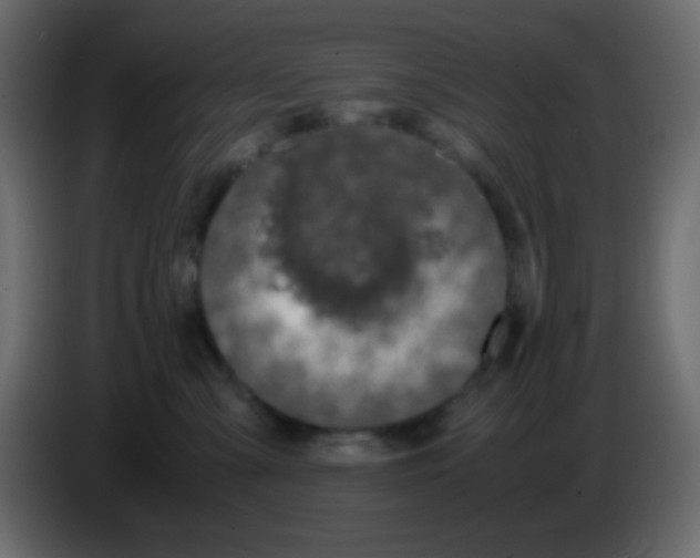 X0000083060427200703022138