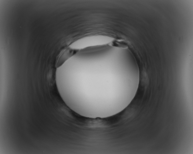 X0000083060428200703022138