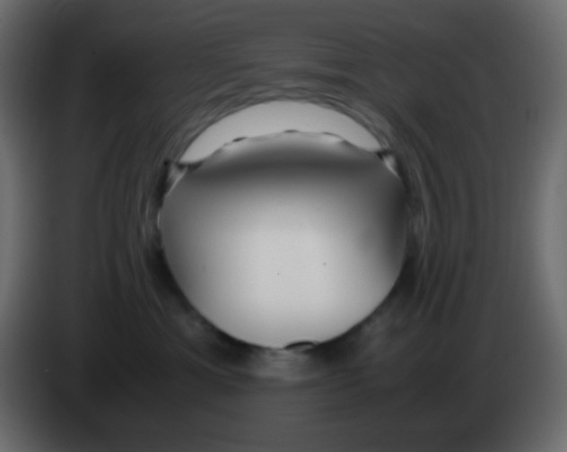 X0000083060429200703022138