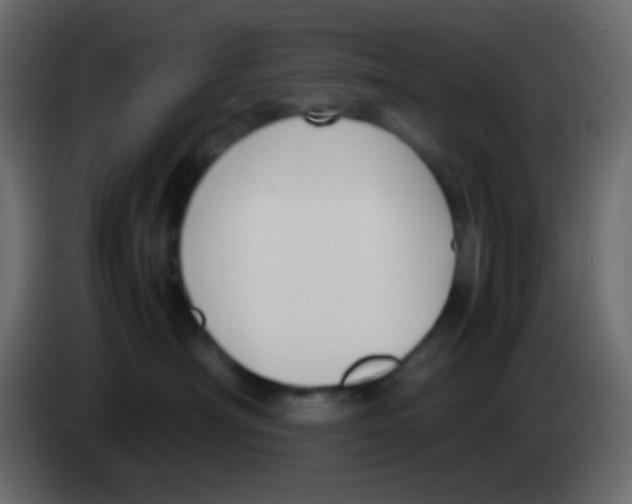 X0000083060430200703022138