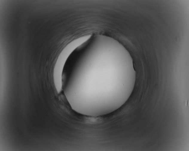 X0000083060432200703022138