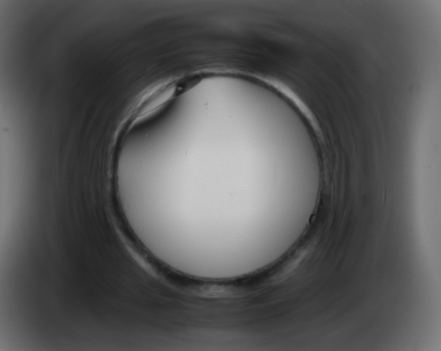 X0000083060437200703022137