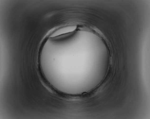 X0000083060438200703022137