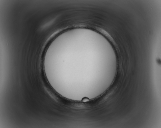 X0000083060439200703022137