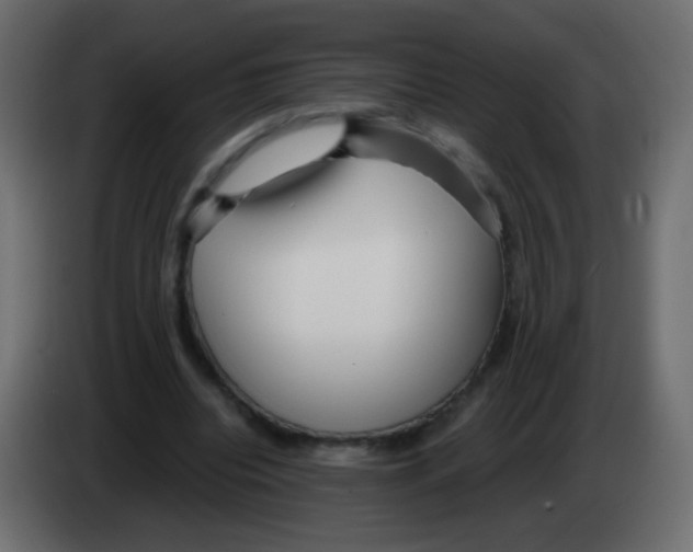 X0000083060440200703022137