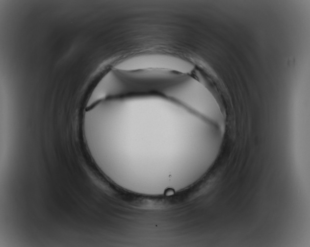 X0000083060442200703022137