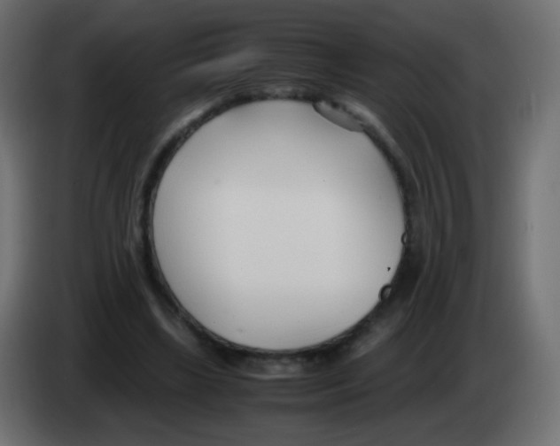 X0000083060443200703022137