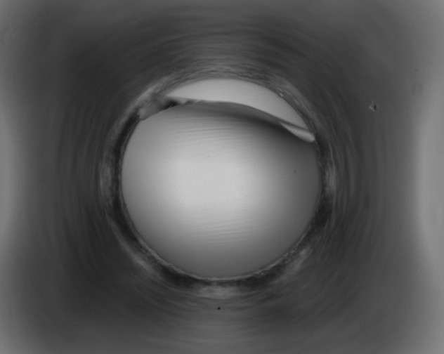 X0000083060444200703022137