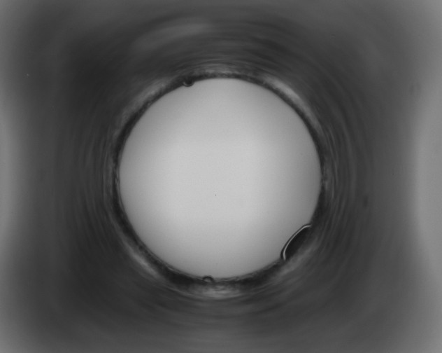 X0000083060445200703022137