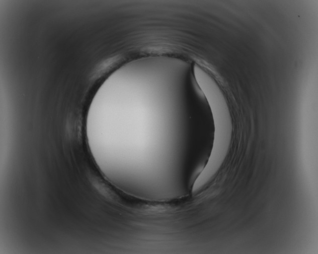 X0000083060446200703022137