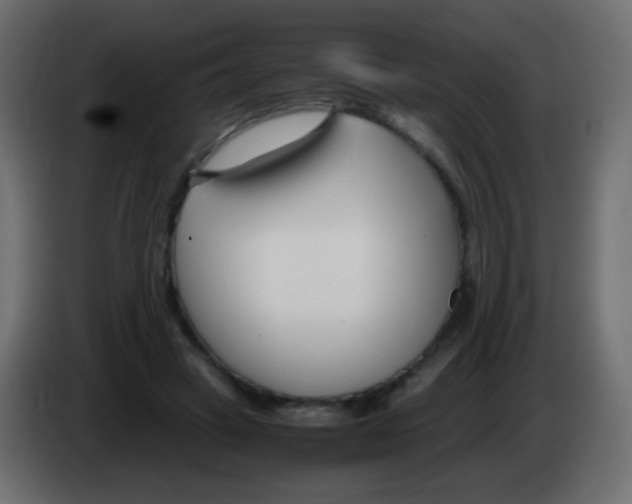 X0000083060449200703022137