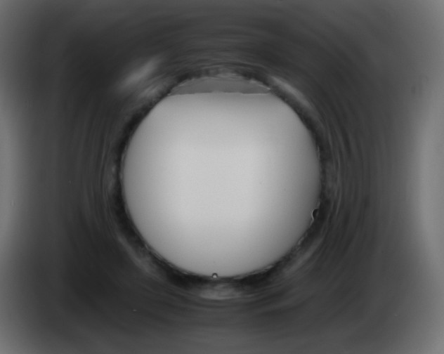 X0000083060451200703022137