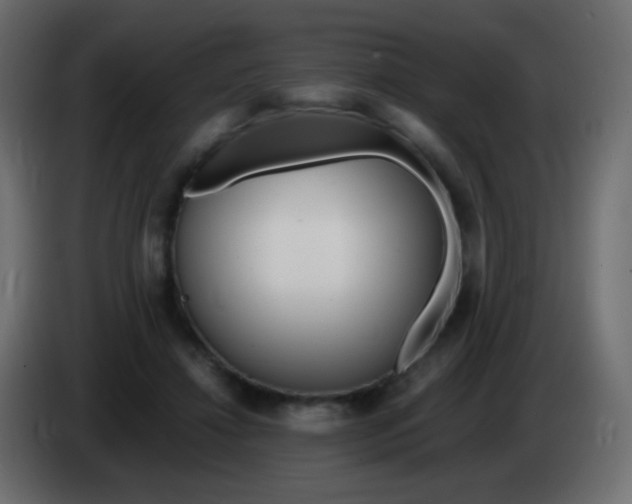 X0000083060452200703022137