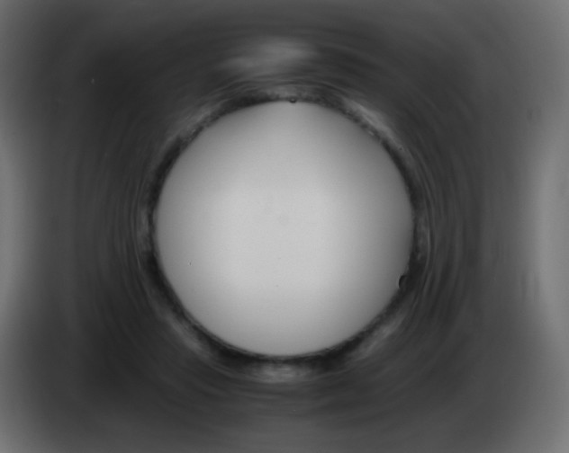 X0000083060453200703022137