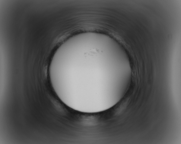 X0000083060454200703022137