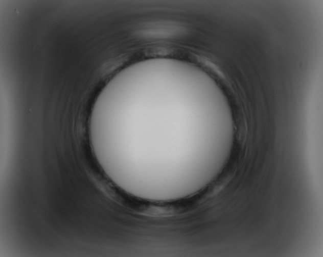 X0000083060455200703022138