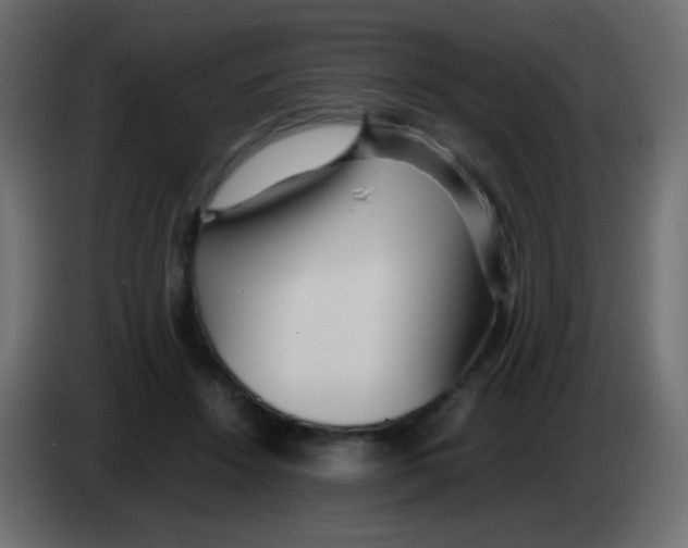 X0000083060456200703022138