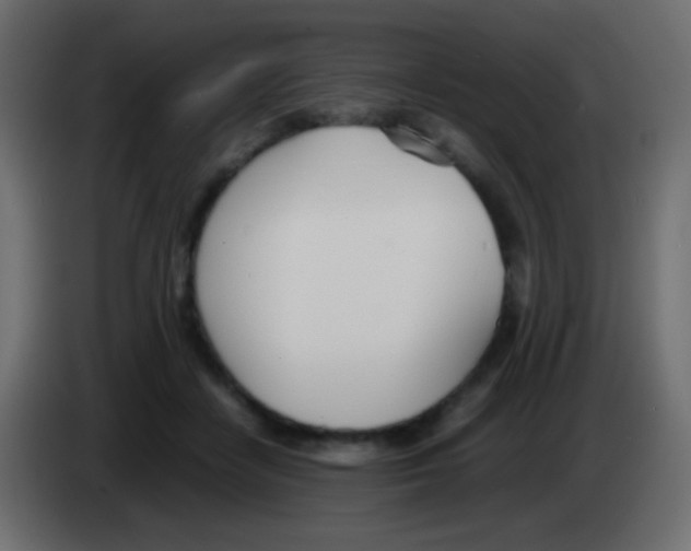 X0000083060458200703022138