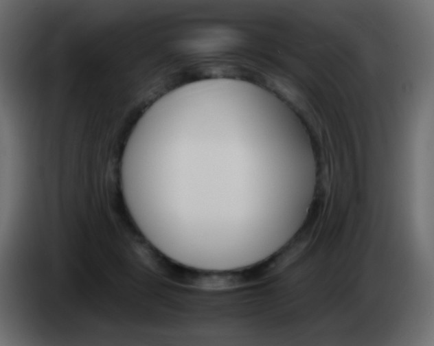 X0000083060461200703022138