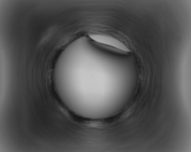 X0000083060462200703022138