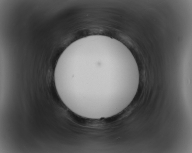 X0000083060463200703022138