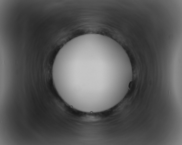 X0000083060464200703022138