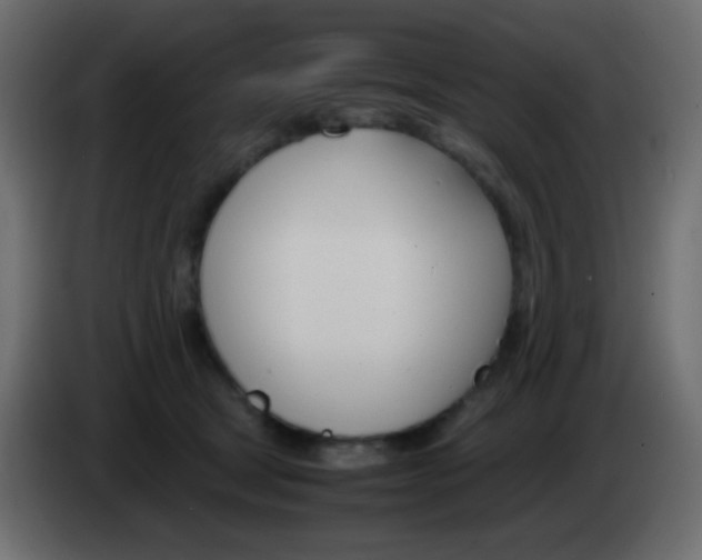 X0000083060465200703022138